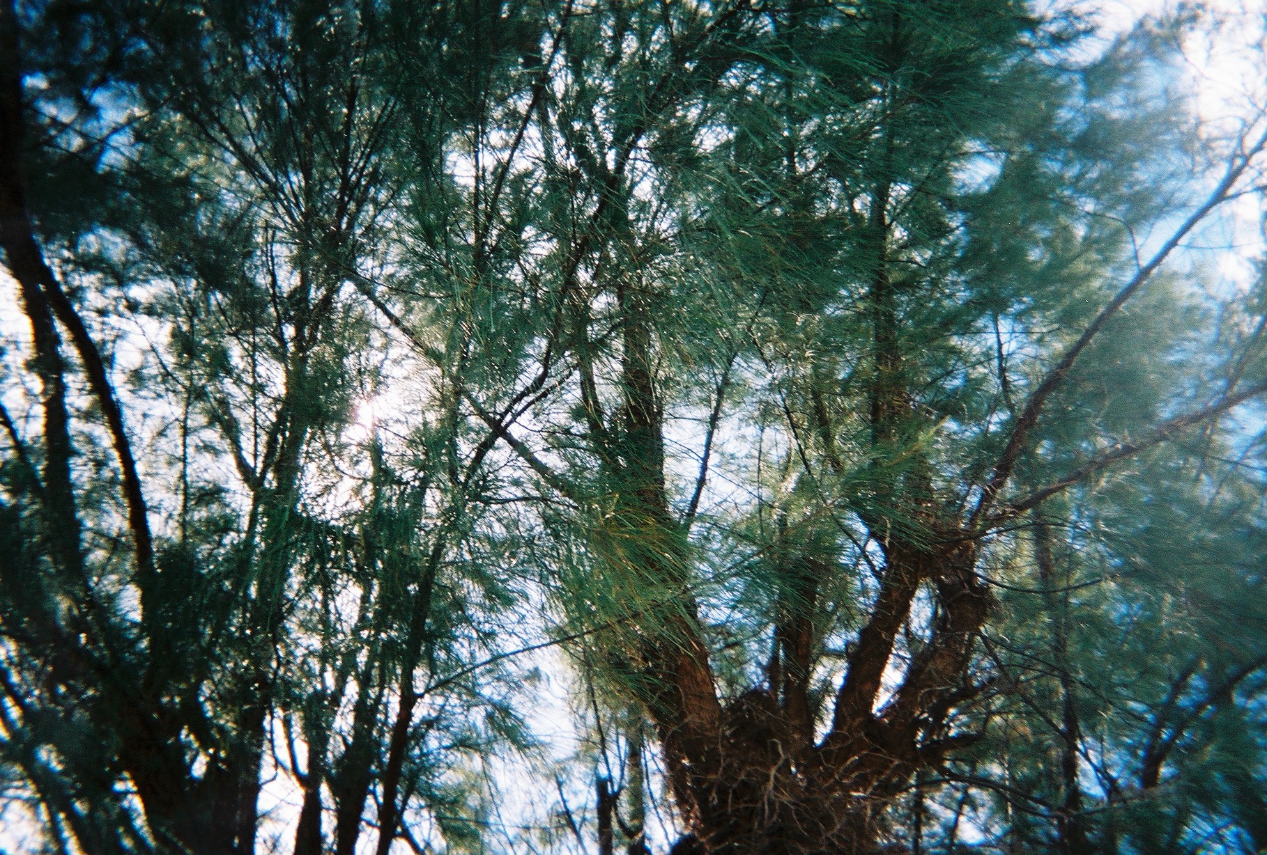 Park